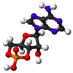 CILTEP Review