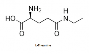 L-Theanine Review